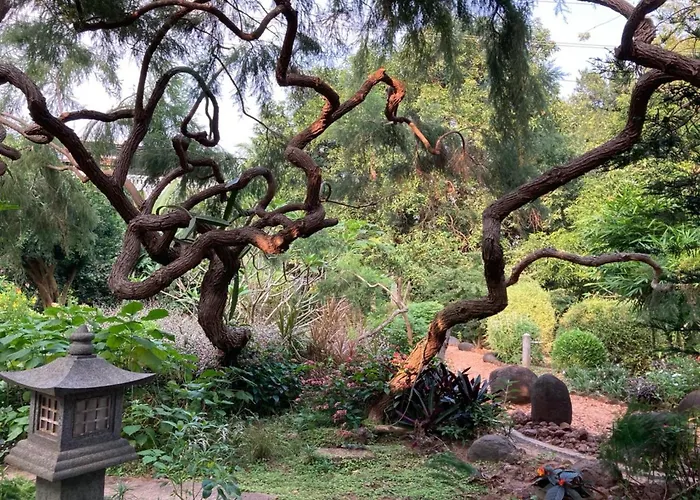 Gaia\'S Garden Guest House
