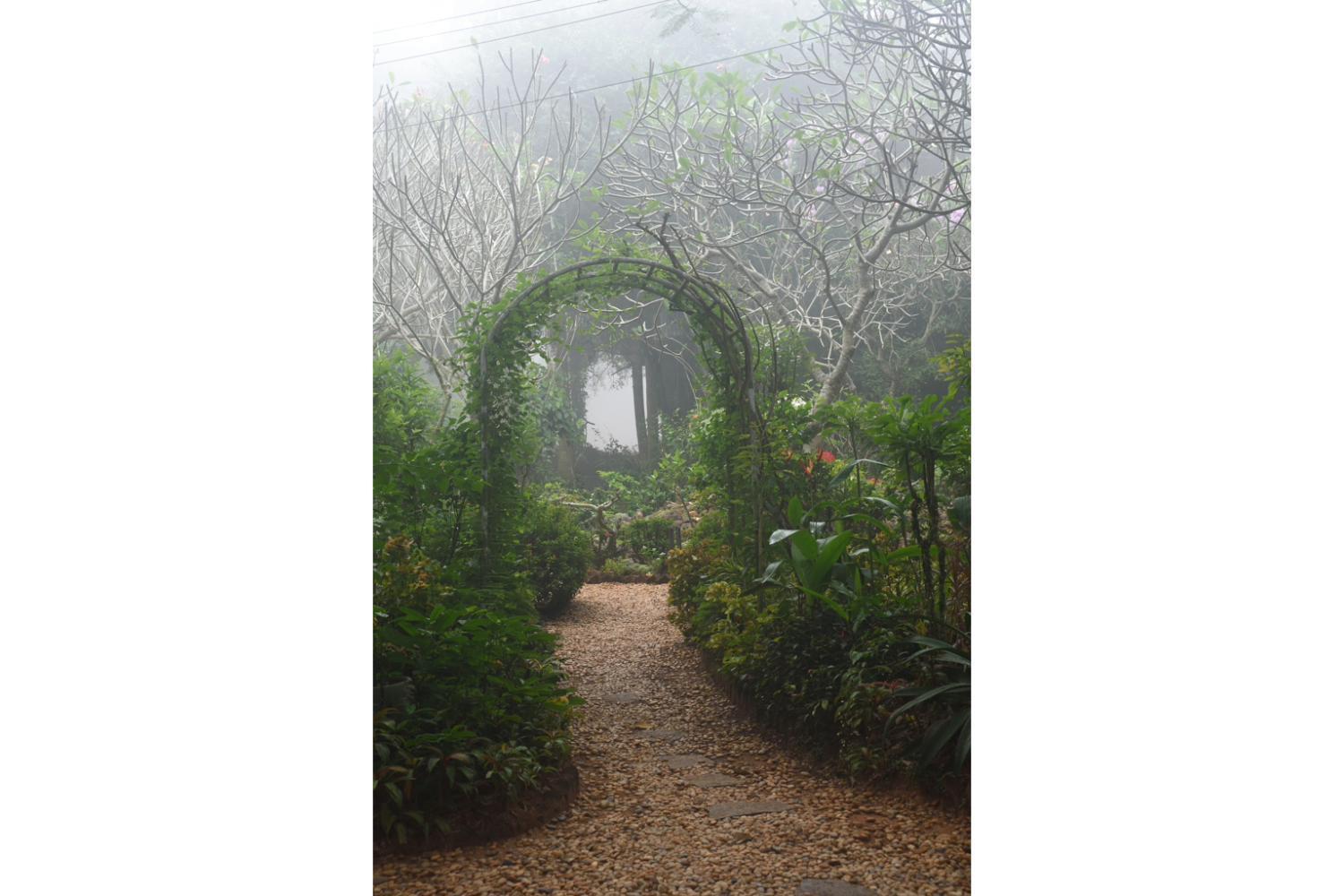 Gaia's Garden Auroville