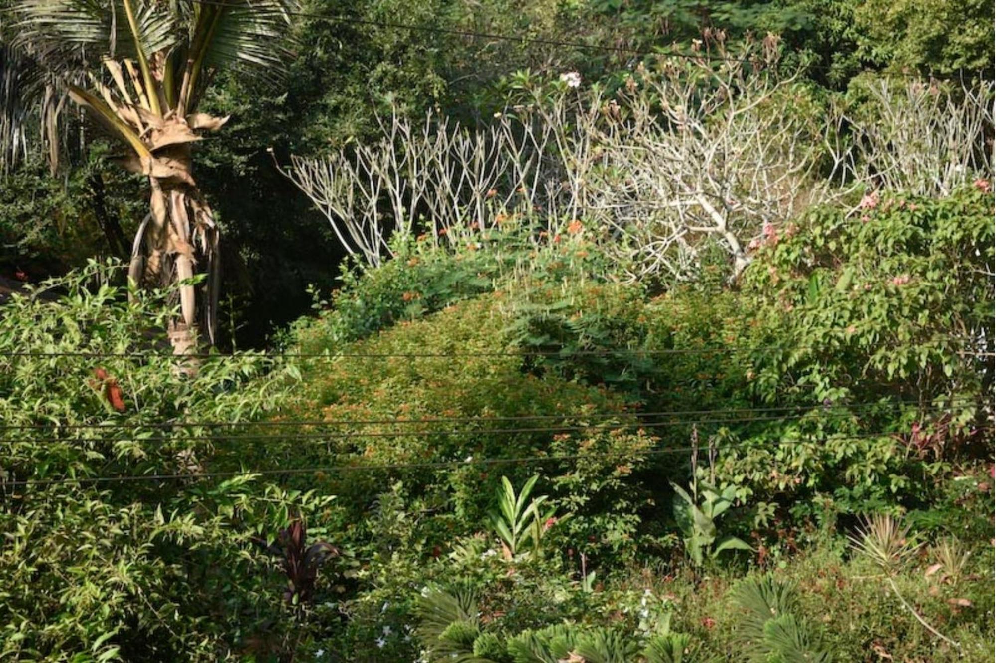 Gaia's Garden Guest house