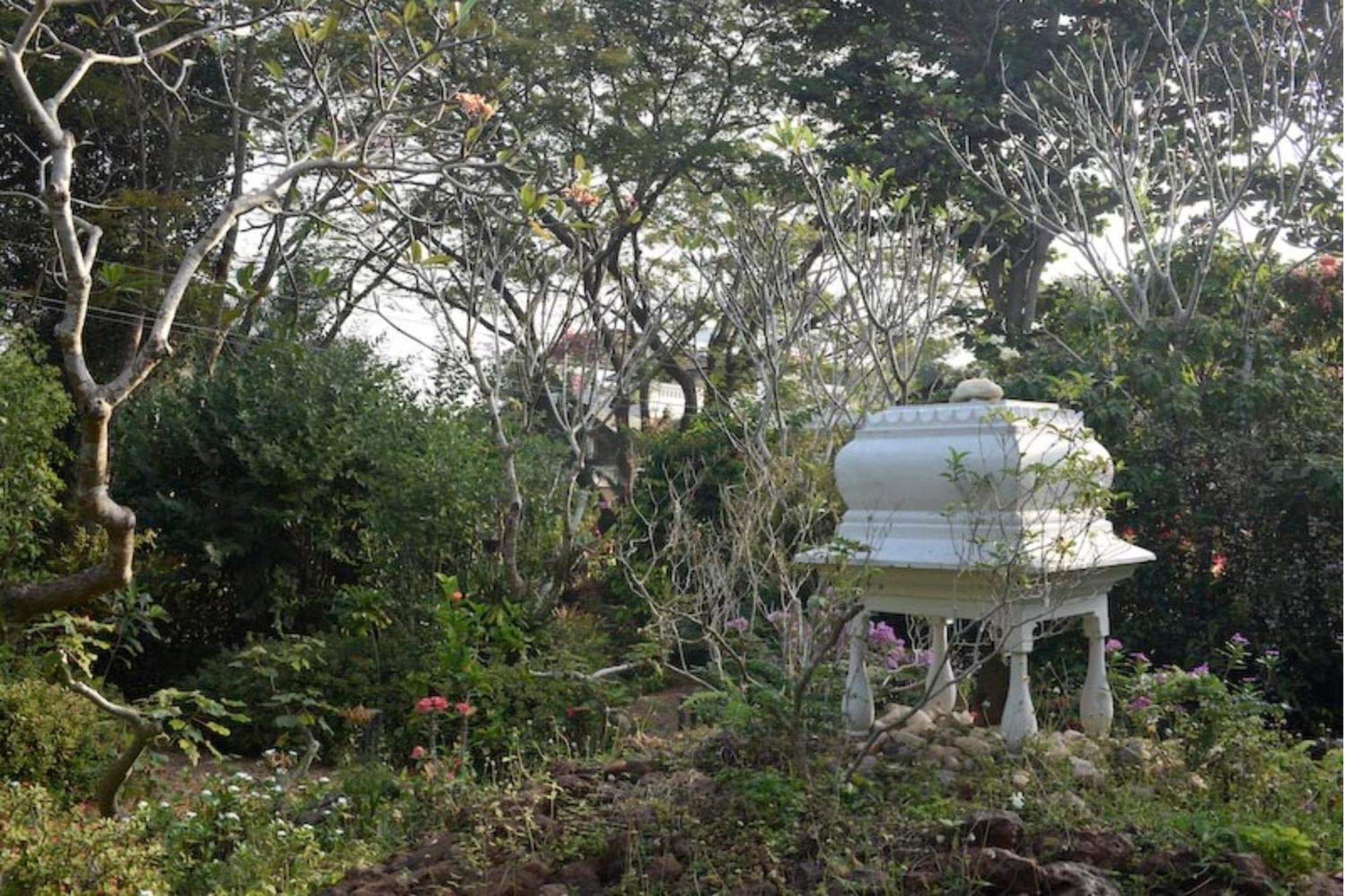 Gaia's Garden *