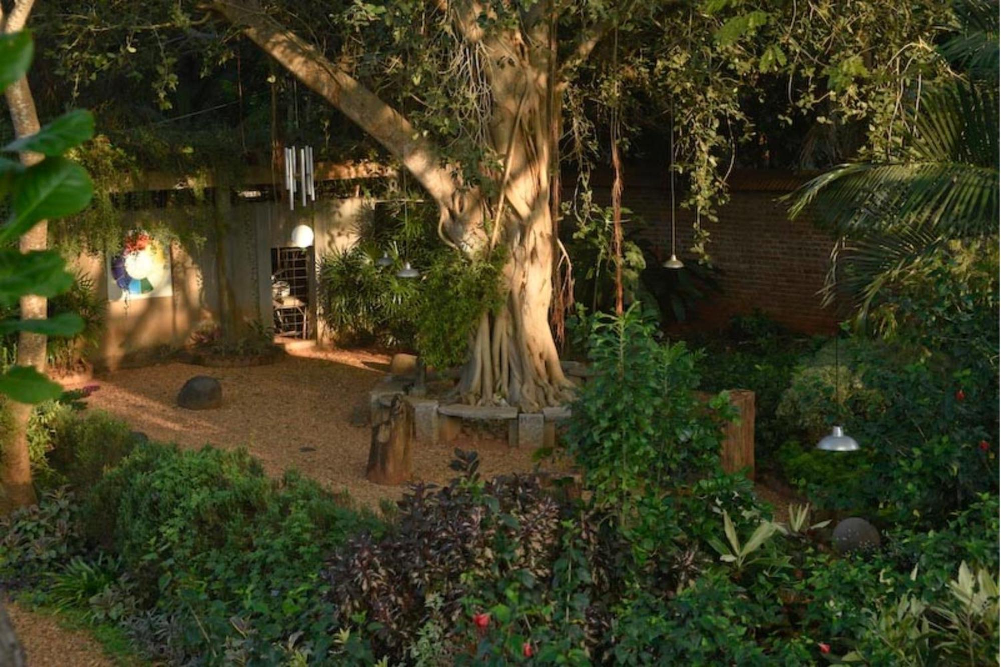 Gaia's Garden