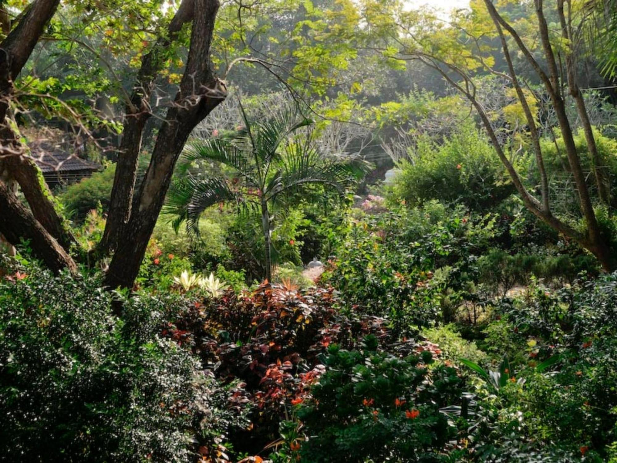Gaia's Garden Guest house *
