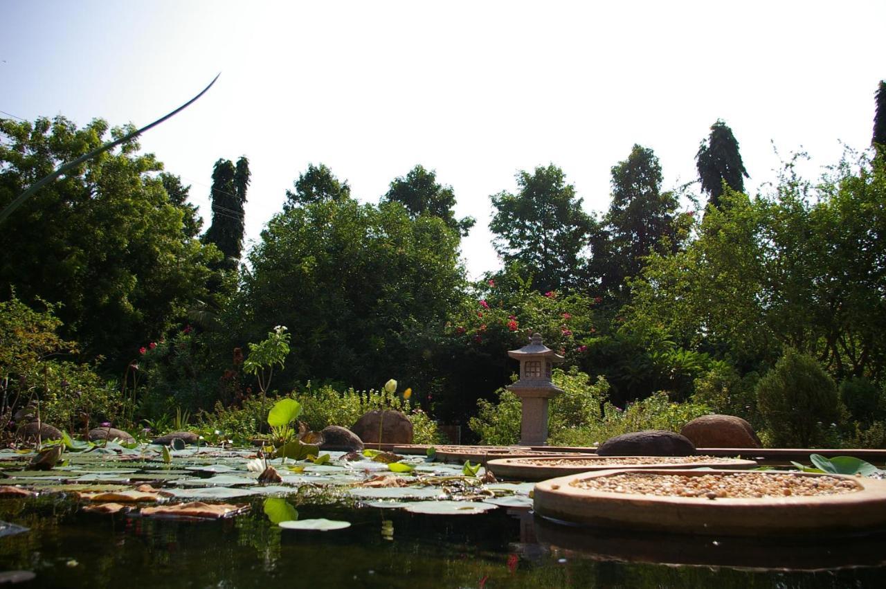 Gaia's Garden गेस्ट हाउस