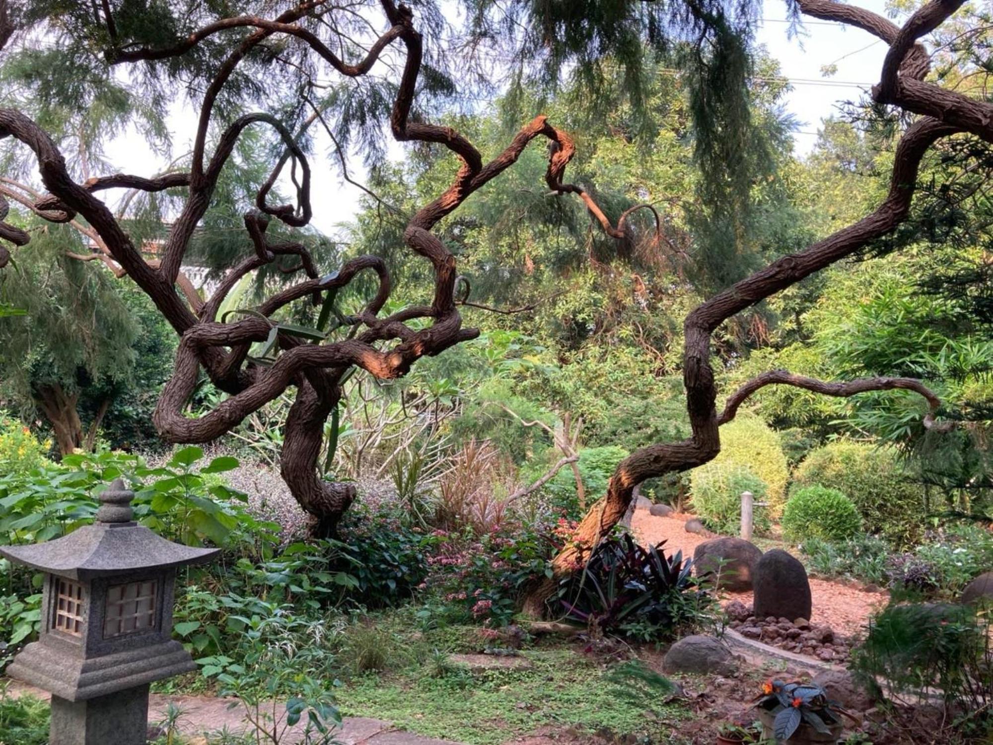 Gaia's Garden गेस्ट हाउस Auroville